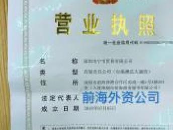 企業資產與服務的多元轉讓 深圳前海資本管理、外資公司、重慶翻譯與基礎軟件服務